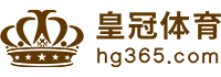 Logo 玩球体育